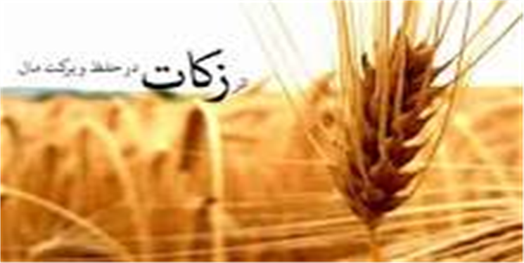 ۶۵۰ میلیارد ریال زکات کشاورزان قمی ثبت شد