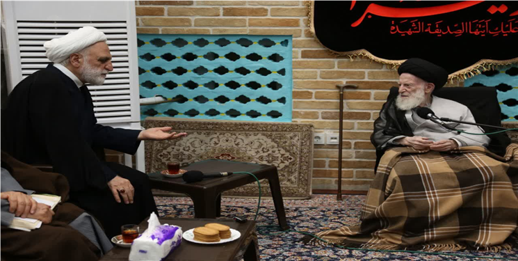 آیت‌الله شبیری زنجانی: فقاهت بدون فطانت برای قضاوت کافی نیست